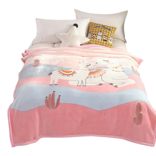 广东发货 拉舍尔毛毯冬季加厚加绒午睡盖毯子床单人宿舍学生被子