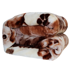 正常发货拉舍尔毛毯双层加厚 学生厚被子冬季保暖毯子宿舍盖毯