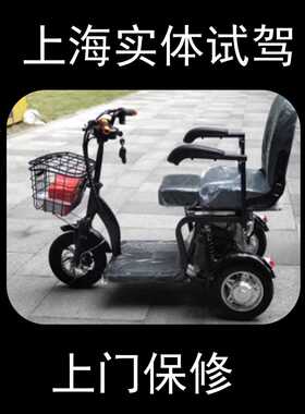 TS08 双人座 4820铅酸 60公里上海斯雨特新款  老年电动车代步车