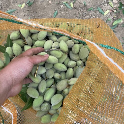 新鲜巴旦木现摘现发青皮鲜果