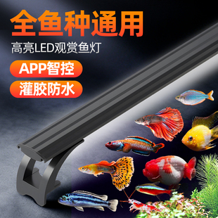 高亮度LED鱼缸灯防水照明水族箱全光谱小型水草生长专用迷你变色