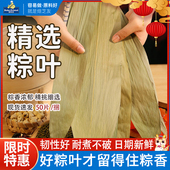 粽叶包粽子专用粽子叶干特大号棕叶竹叶子新鲜商用端午批发箬叶