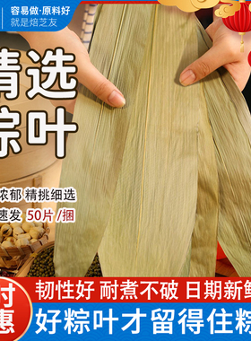 粽叶包粽子专用粽子叶干特大号棕叶竹叶子新鲜商用端午批发箬叶