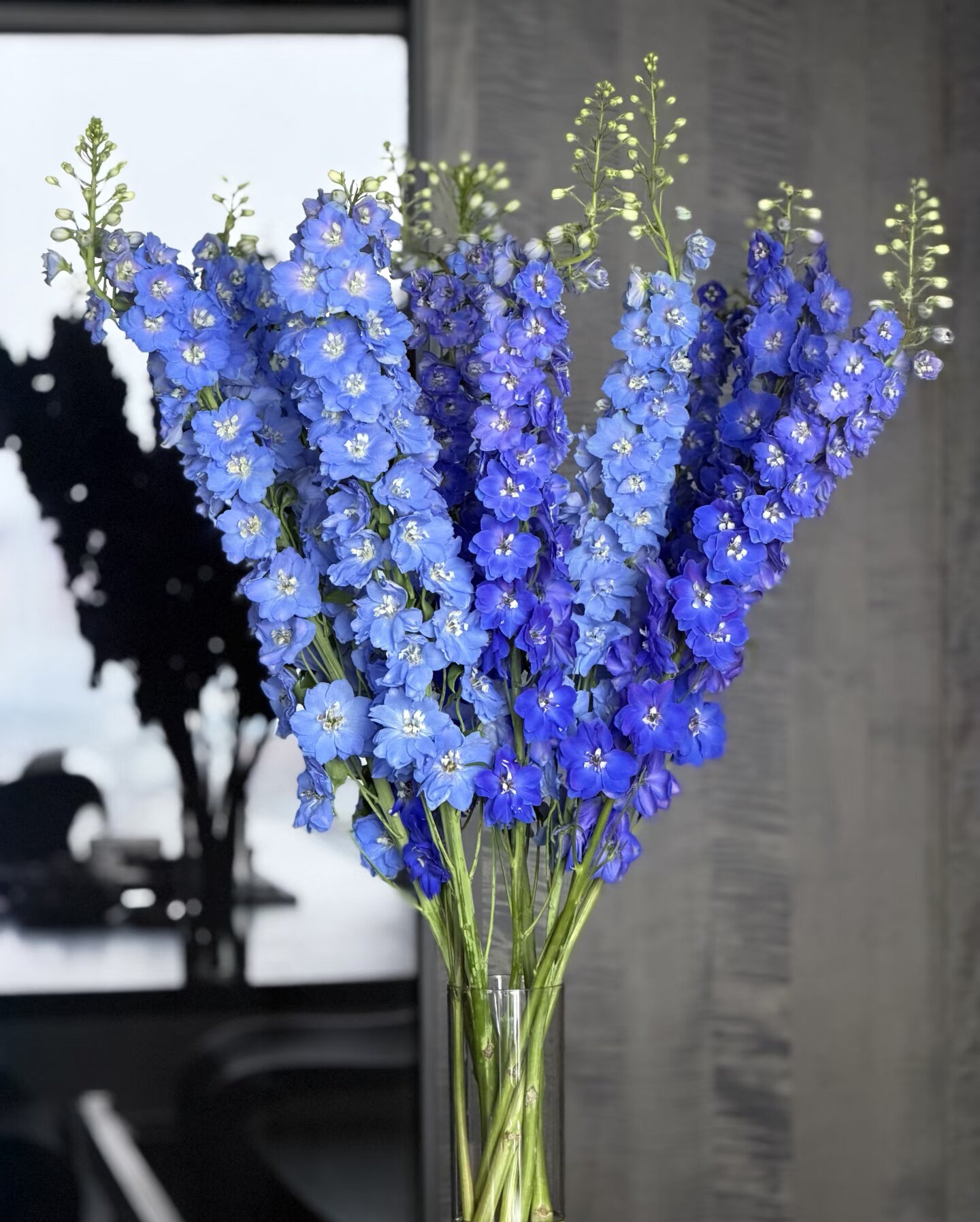 直播款高品质大飞燕鲜花基地直发顺丰包邮家庭插花花店节日