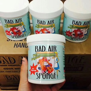 Sponge空气净化剂 Air 除甲醛 装 雾霾去异味 进口 修污染 美国Bad