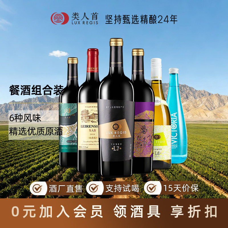 宁夏贺兰山东麓红酒 类人首美乐赤霞珠干红葡萄酒组合整箱6支装