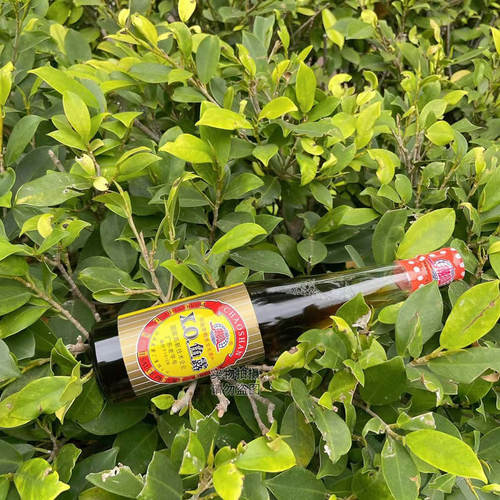 广东汕头酱料潮汕牌XO鱼露220g