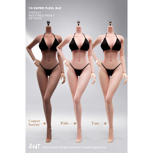 ANT 1/6/12 T302/303/305/306/AB001/T307超可动钢骨包胶女素体