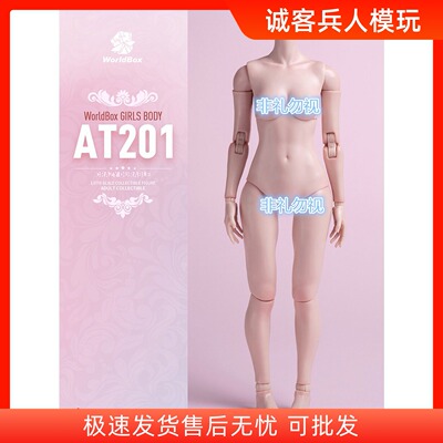WorldBox1/6关节可动女素体现货