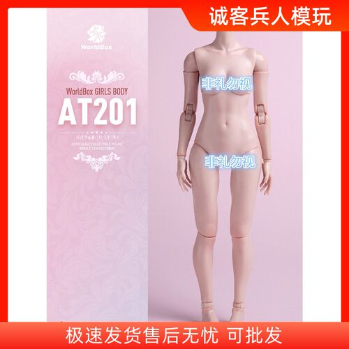 WorldBox1/6关节可动女素体现货