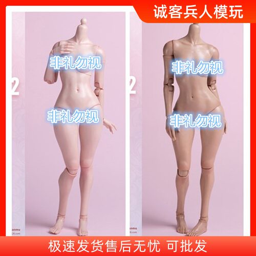 现货1/6兵人女素体关节可动1/6