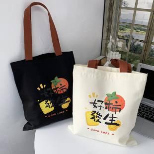 原创设计小众帆布包女单肩百搭大容量学生上课装书旅行包有拉链