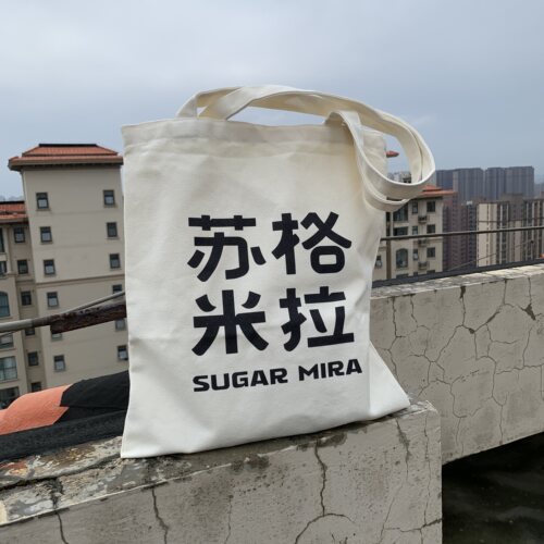 2026新款韩系秋ins学生帆布包
