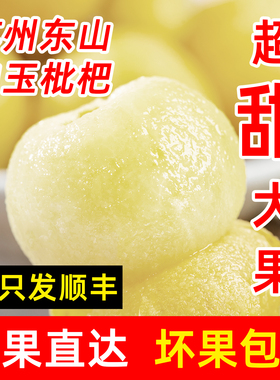 超甜白玉枇杷 新鲜苏州东山白玉枇杷5斤孕妇水果顺丰礼盒装枇杷