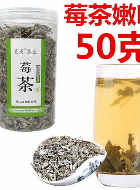 张家界正宗莓茶嫩叶粗叶