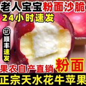 顺丰甘肃天水正宗花牛苹果直销蛇红果婴宝宝老人粉面沙脆新鲜水果