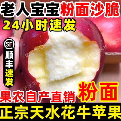 顺丰甘肃天水正宗花牛苹果直销蛇红果婴宝宝老人粉面沙脆新鲜水果