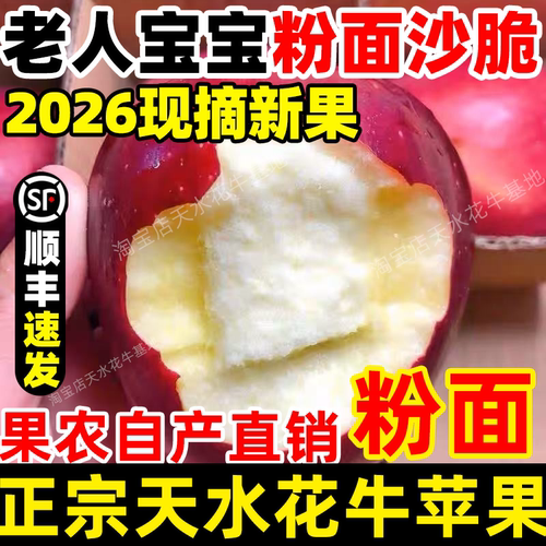 顺丰甘肃天水正宗花牛苹果直销蛇红果婴宝宝老人粉面沙脆新鲜水果