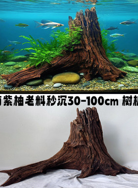 云南紫柚木秒沉会黄水