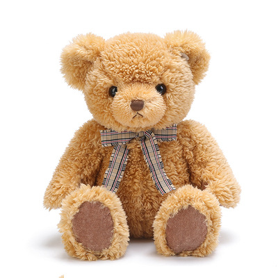 毕业公仔袍专用泰迪熊适合M码袍