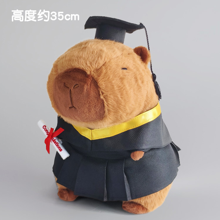 卡皮巴拉毕业公仔水豚卡比吧啦博士学士服玩偶大学男女生定做礼物