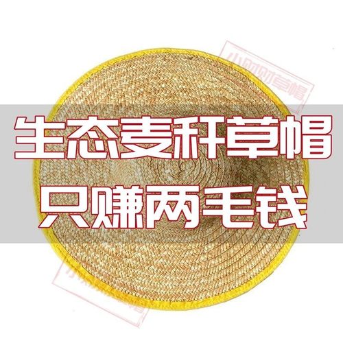 农民工大檐麦秆草帽工地田园劳保帽子草帽防晒帽遮阳钓鱼帽宠物帽