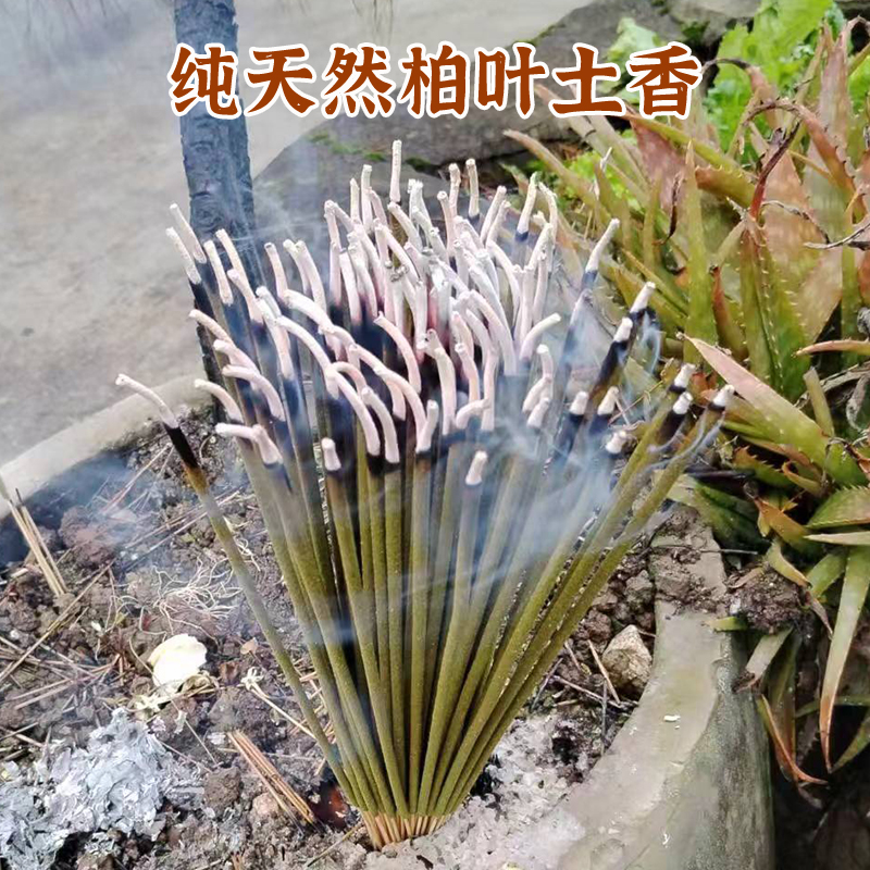 柏籽柏叶柏木香  老土香 佛香 初一十五家用香