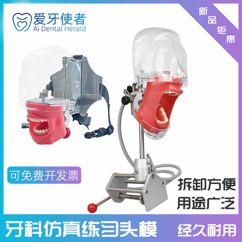 可拆卸牙齿备牙仿真树脂简易头模