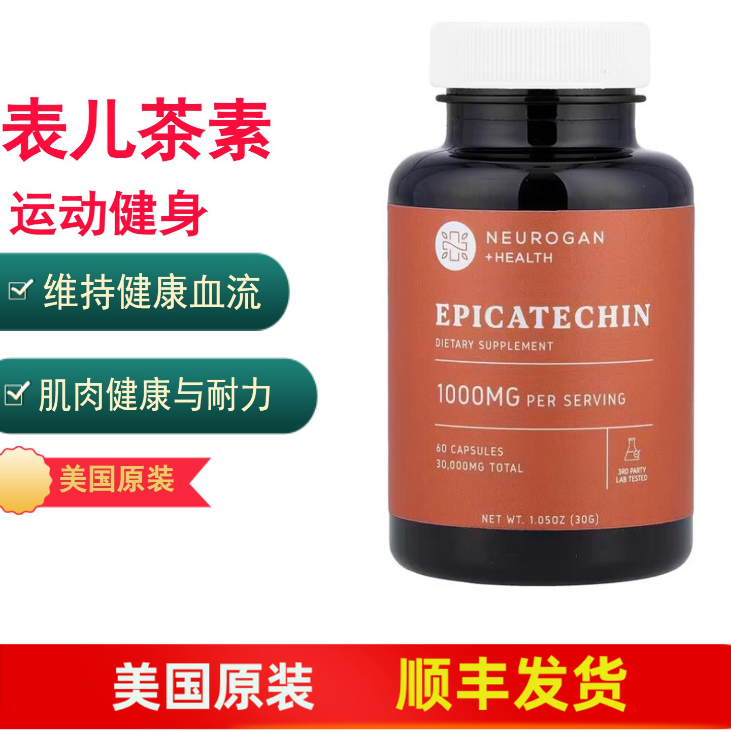 表儿茶素运动肌肉体能耐力支持