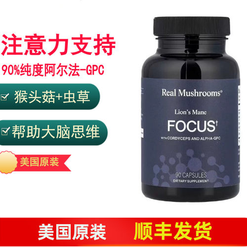 Focus专注力支持猴头菇虫草胆碱