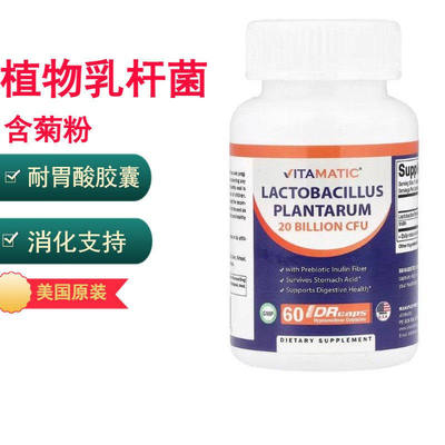 植物乳杆菌含菊粉消化支持耐胃酸