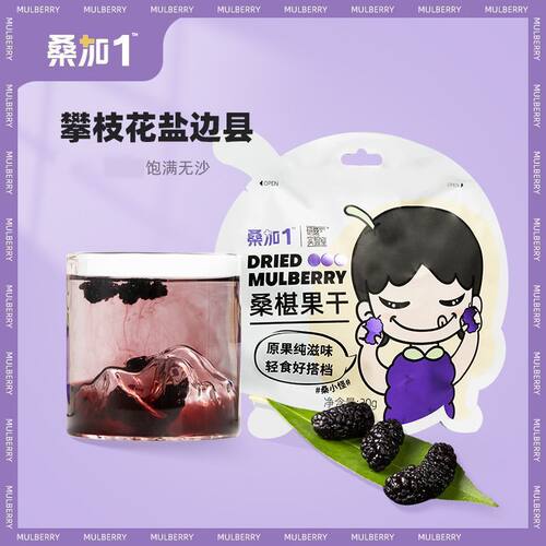 盐边县桑葚黑桑葚干饱满无沙泡酒茶水即食零食果干