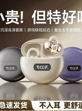 适用iQOO12 15蓝牙耳机 手游电竞低延迟 影音追剧高清通话两不误