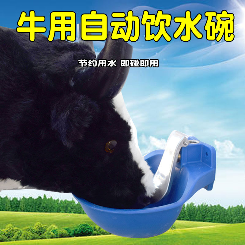 牛饮水器 自动喂水 养殖设备塑料牛饮水碗 养牛场设备牛用 自动饮