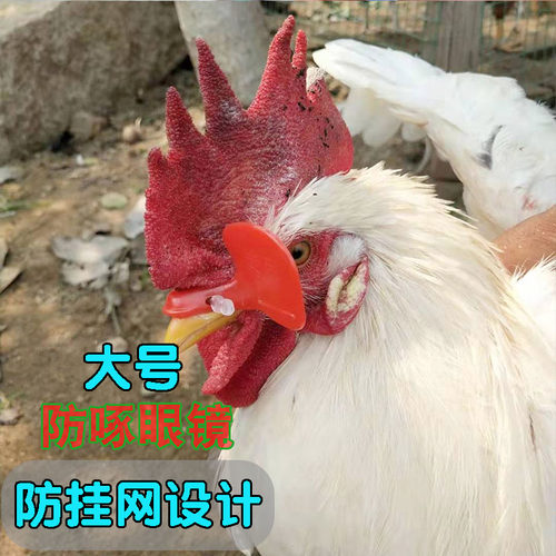 新款鸡眼镜熟料防啄挂网打架挡眼睛罩鸡用公鸡防啄鸡用眼镜包邮养
