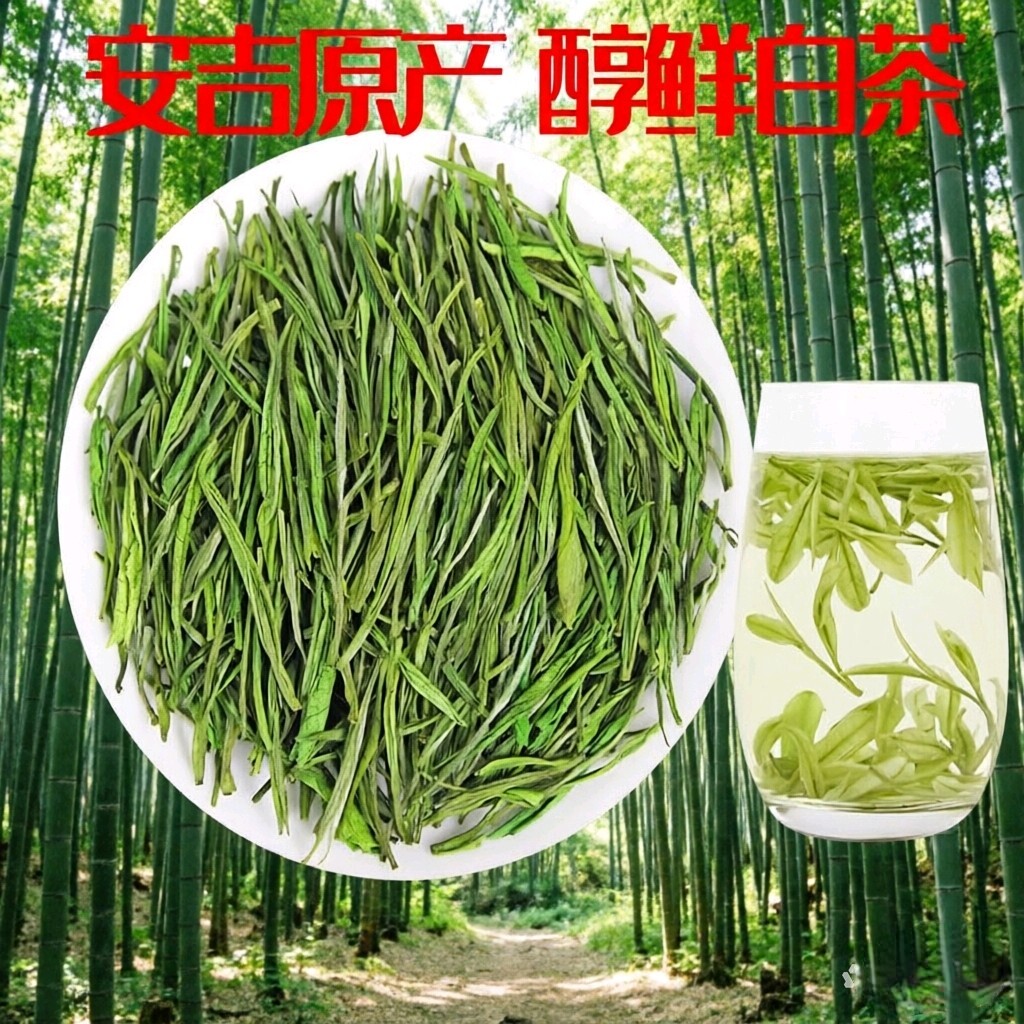 安吉白茶2026新茶白茶口粮雨前正宗散装袋装浓香一级送礼珍稀特好