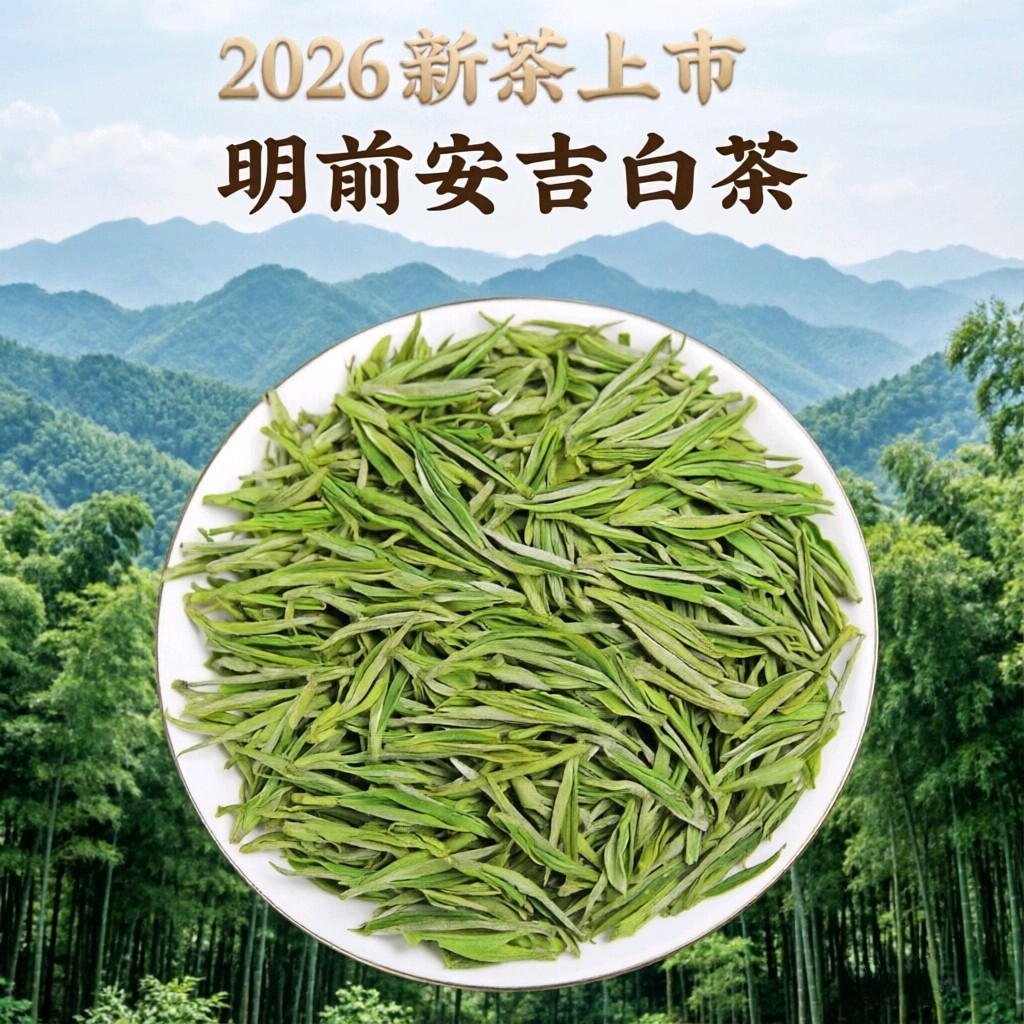 正宗安吉明前白茶特级250克袋装礼盒安吉2026年新茶高山春茶耐泡