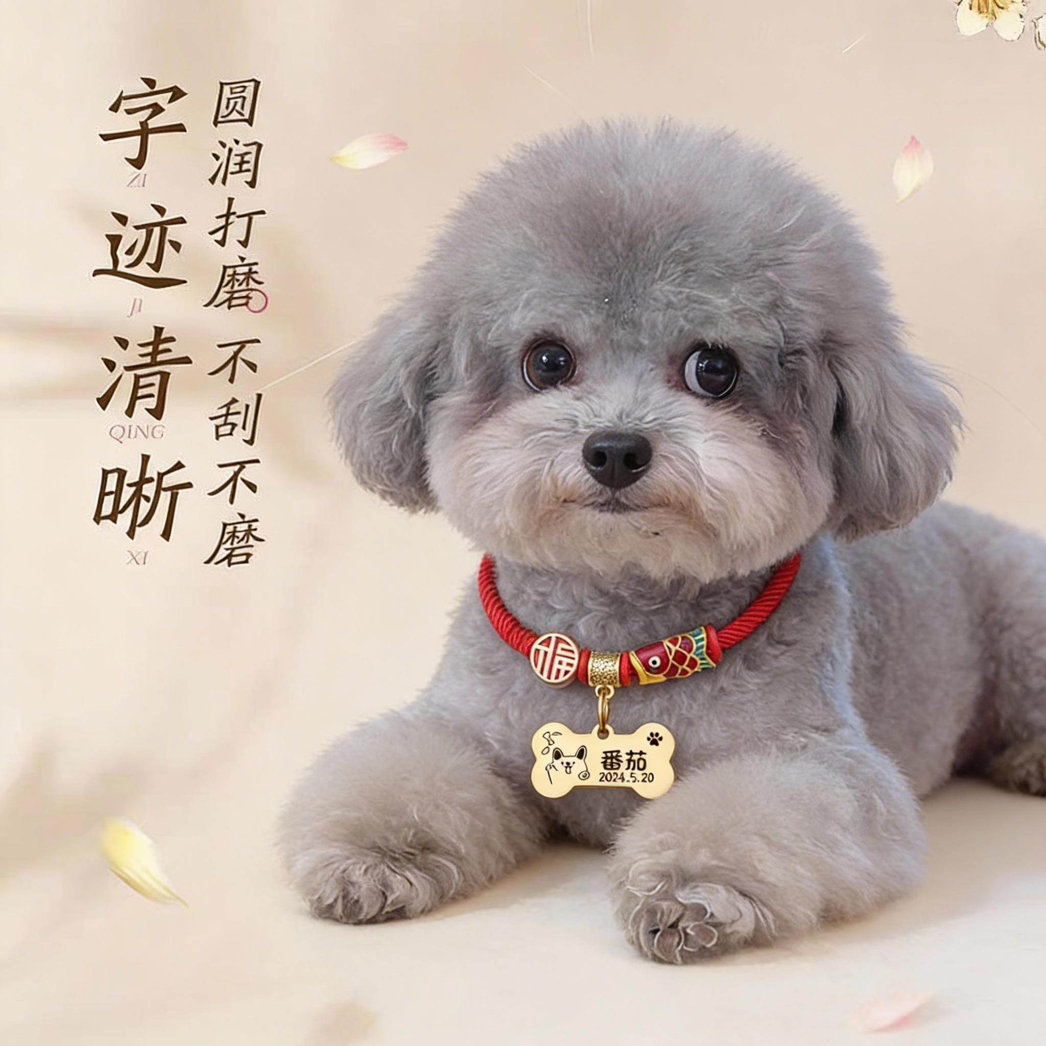 猫狗通用宠物饰品猫咪狗牌小型犬防走丢牌刻字项圈挂件身份牌配饰
