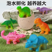泡水孵化恐龙蛋盲盒泡在水里膨胀破壳会长大 男孩女孩儿童小玩具