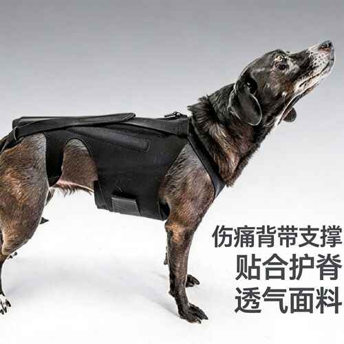 狗狗背部支撑缓解背部疼痛辅助背缓解病痛受伤支撑狗背心
