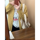 毛衣外套薄款 此外 新款 纯色韩版 麻花连帽拉链针织开衫 女2026春季