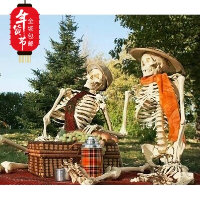 包邮170cm逼真塑料骷髅骨架  恐怖鬼屋装饰道具 密室逃脱骨架道具