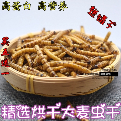 仓鼠零食天然大麦虫干超级面包虫干仓鼠金丝熊乌龟食松鼠粮食