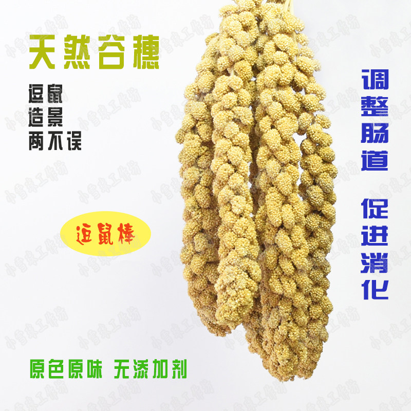满38包邮天然黄谷穗仓鼠豚鼠松鼠鹦鹉磨牙零食营养高纤维逗鼠棒