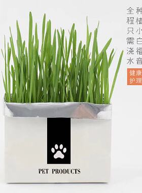 仓鼠金丝熊兔子龙猫花枝懒人猫草去毛球清洁口臭绿色健康零食