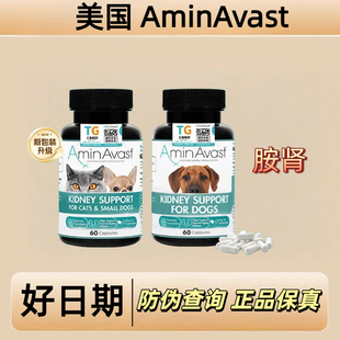 AminAvast美国胺肾原装进口安心停宠物健康肾脏保健品猫狗通用