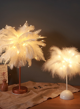 北欧少女卧室床头灯温馨小台灯浪漫创意羽毛灯结婚婚房网红灯装饰