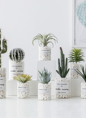 斯堪的纳维亚盆栽模拟植物仙人掌假多肉绿色植物客厅室内装饰假花