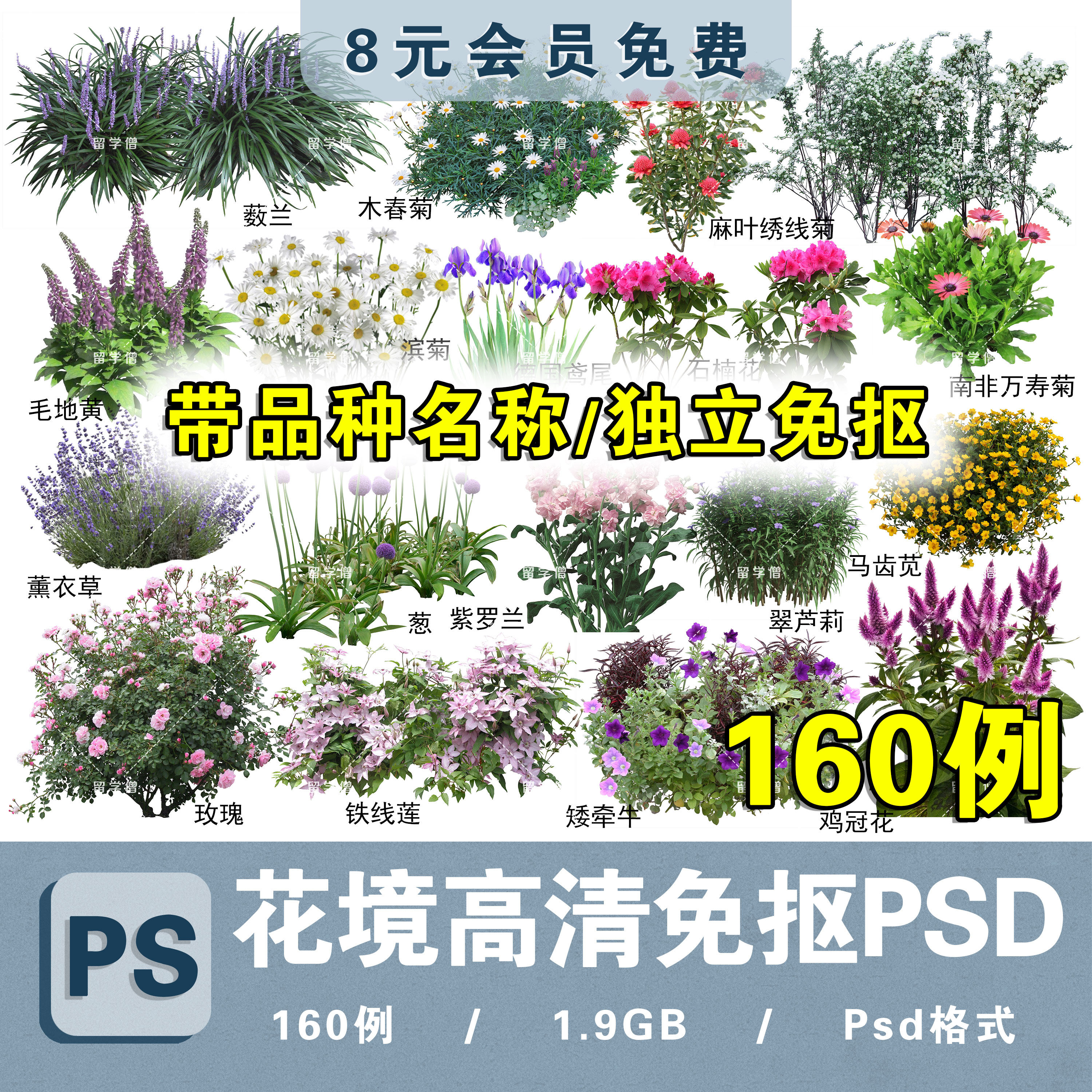 园林景观花境镜花坛鲜花设计常见花灌木分层免抠高清图片psd素材