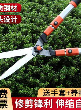 修剪树枝剪刀园艺修花专用茶叶果树剪枝工具园林绿化剪子绿篱剪刀